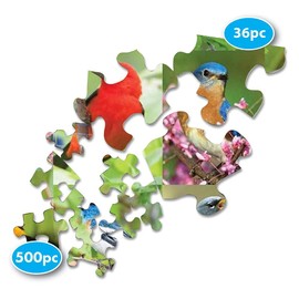 Springbok 36 Piece Jigsaw Puzzle Birds of a Feather, Multi, 500