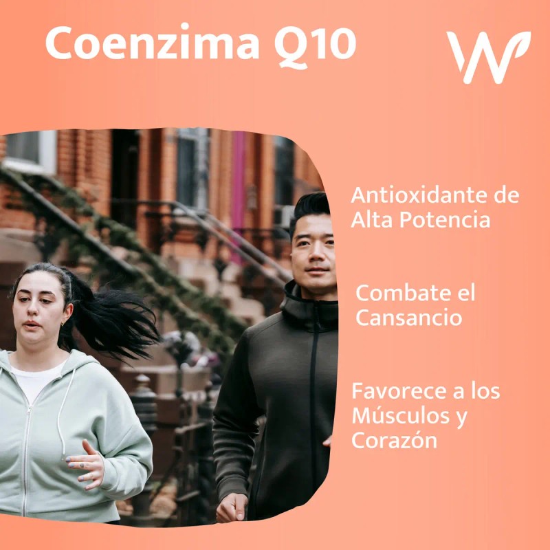 Coenzima Coq10 Efecto Antioxidante Favorece Funcionamiento Músculos Corazón Aporta Energía