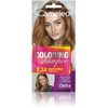 Cameleo - Coloring Shampoo - Sweet Toffee - Quick and