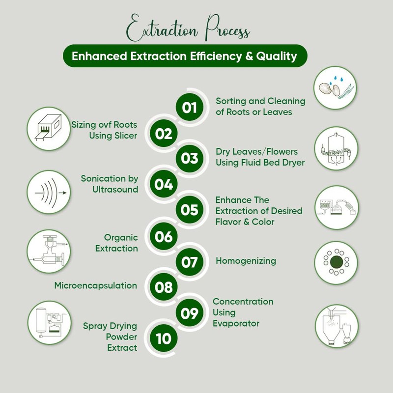 Pandan Extract Liquid Concentrate | No Artificial Additives, No Sugar