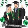 Spakon 13 Pcs Graduation Leis Graduation Candy Lei Kit Class