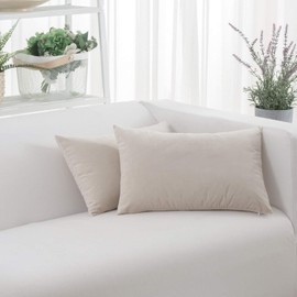 HWY 50 Velvet Soft Solid Decorative Throw Pillows Covers Set Cushion Cases for Couch Sofa Living Room Rectangular 12 x 20 inch Cream Pack of 2 Comfortable Decor