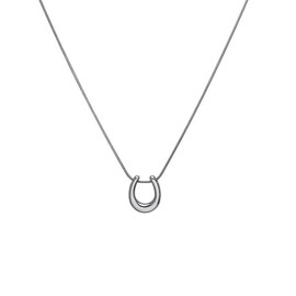 ALRNBY Gold Necklace for Women Dainty Horseshoe Drop Pendant Necklace Charm Necklace Silver Choker Necklace for Women Gold Plated Stainless Steel Necklace Trendy Waterproof Lucky Jewelry Gift Non Tarnish (Color6 Silver Horseshoe)