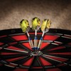 Viper Spinning Bee Soft Tip Darts with Casemaster Storage/Travel Case,