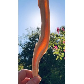 Ponderosa Pine Fatwood 2 lbs Sticks Better Than The Rest HardPine Heartwood Pitchwood