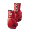 Paffen Sport Star Promo Deko & Souvenir Boxhandschuhe in rot