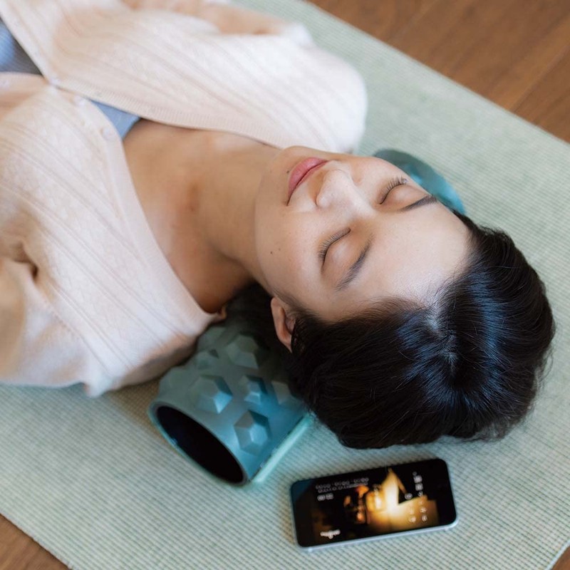 HATACHI NH3840 Reset Roller Grimochi