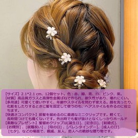 Audiophan Hair Clip Mini Flower Hair Claw Small Bite Clip Cute Hair Clip Hairpin Small Adult Cute Hair Clip Hair Accessory 6 Colors x 2 Pieces Set of 12