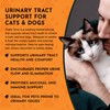 Animal Essentials Tinkle Tonic - Dog & Cat Urinary Tract