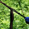 Pack of 2 Hammock Attachments, 3 m x 2.5 cm,