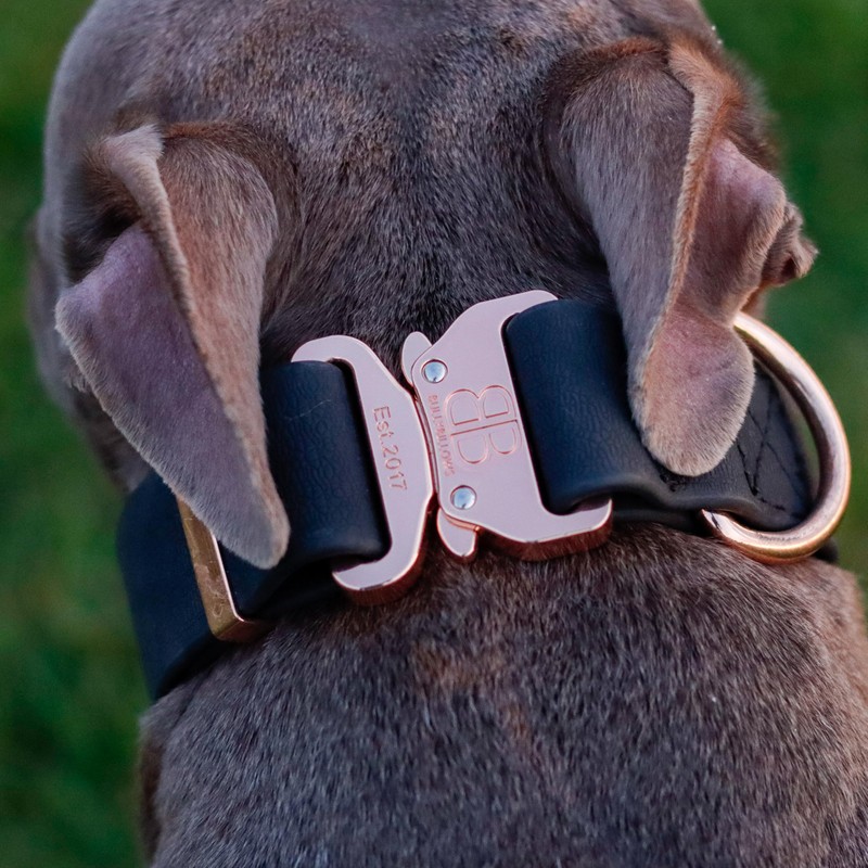 Bully Billows 5cm Pin Billowthane® Dog Collar - Waterproof, Anti-Rust,