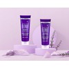 No Yellow Purple Shampoo & Conditioner For Blonde, Grey &