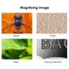 USB Digital Microscope 1000X Magnification Camera 8 LEDs with Stand