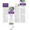 Black Currant (Ribes Nigrum) Leaves and Fruits Alcohol-Free Mother Tincture