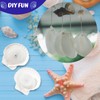 GlikCeil 100 Pcs Sea Shell for Crafting Natural Large Scallop