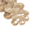 Highlight Bundles P27613 Blonde Body Wave Human Hair Bundle Two
