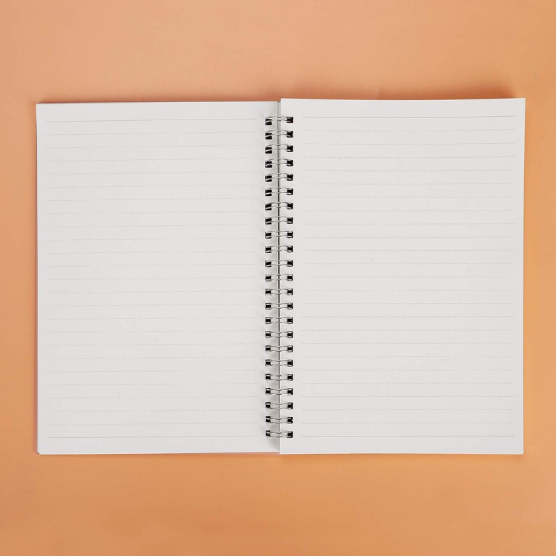 IBLUELOVER 2pcs A5 Spiral Bound Notebook Transparent Hardcover Lined/Blank Daily