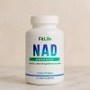 Fitlife Nad+ | Nr (nicotinamida Ribosa) | 2 Meses 120