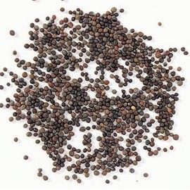 PAPAW'S GARDEN SUPPLY LLC. Helping The Next Generation Grow! Mix Variety Broccoli Seeds, Non-GMO, 1 Pack of 400 Vegetable Seeds