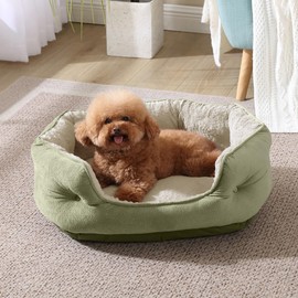 Arlee Cozy Orthopedic Memory Foam Dog Bed - Premium, Durable, Washable, and Easy to Clean Fabric, Chew Proof Pet Bed for Small and Medium Pets, Ultimate Comfort & Style, Oval - Aloe(S)