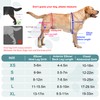 Dog Knee Brace for ACL Support, Adjustable Leg Brace for