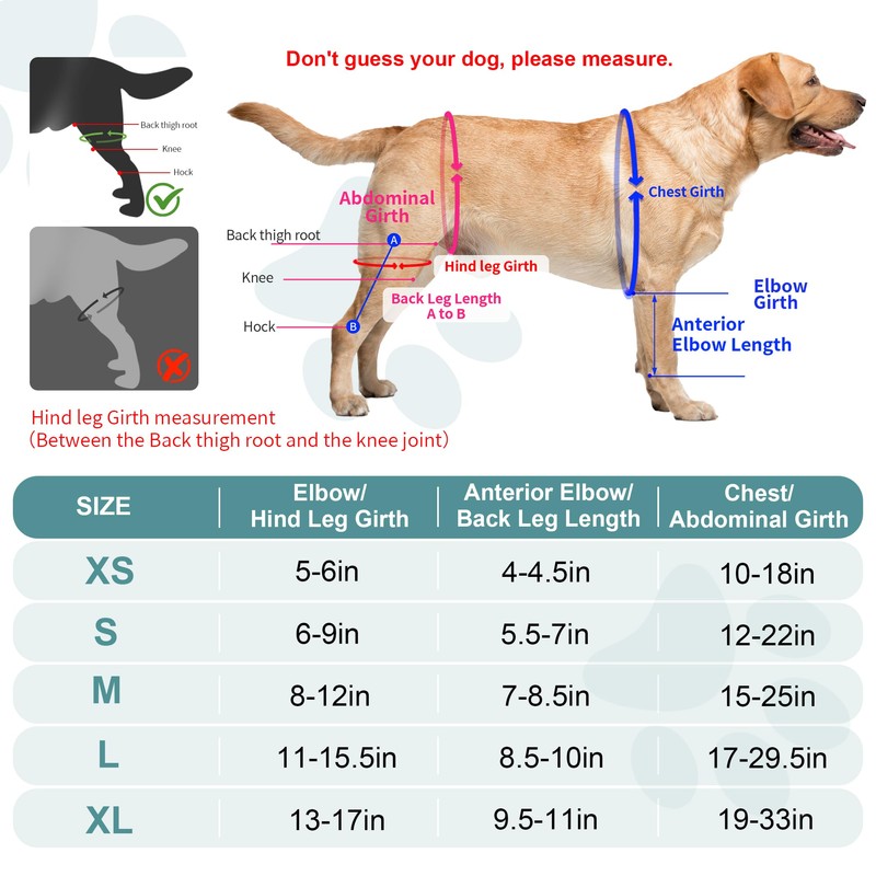 Dog Knee Brace for ACL Support, Adjustable Leg Brace for