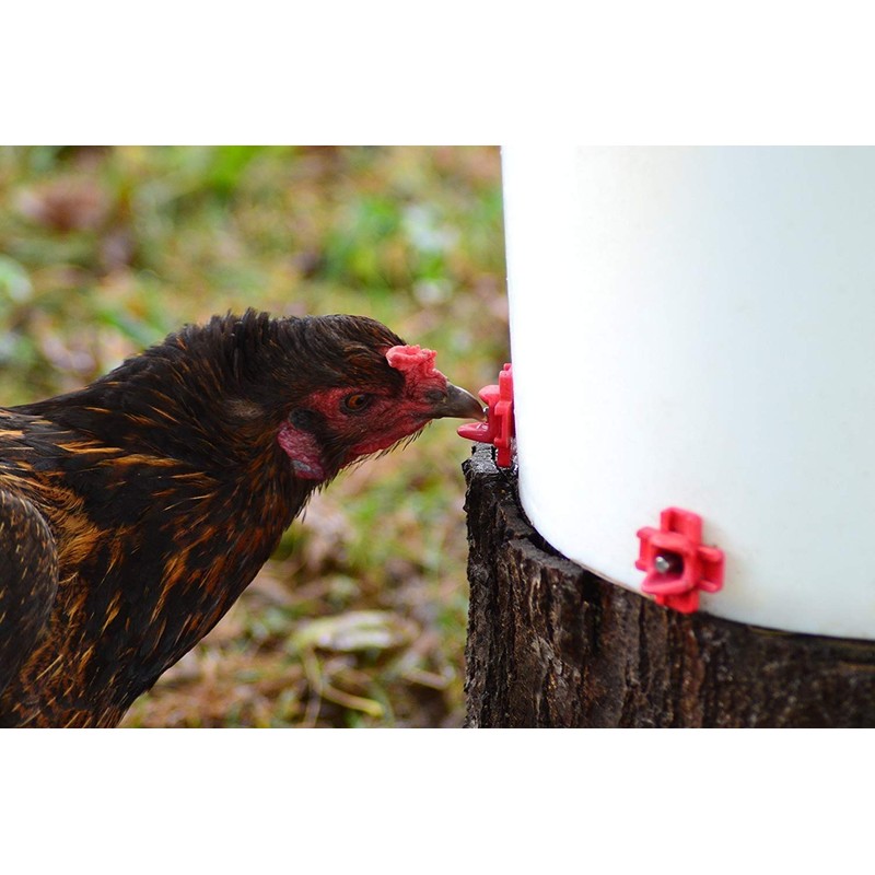 RentACoop DIY Waterer Kit - Horizontal Nipples with Dribble Dish
