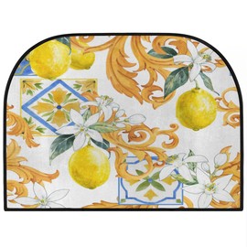 Tavisto Lemon Plant Flowers Indoor Doormat Memory Foam Half Circle Mats Non-Slip Absorbent Resist Dirt Front Back Door Mat for Outside Farmhouse Porch Patio 39"X55"
