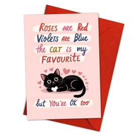 Podagree Funny Birthday Card for Her Him, Hilarious Birthday Card for Friends, Humorous Birthday Cards for Son Daughter Sister Brother Best Friend The Cat Is My Favorite You're Ok Too
