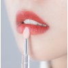 6Pcs Silicone Lip Brush Lipstick Lip Gloss Brushes Applicator Makeup