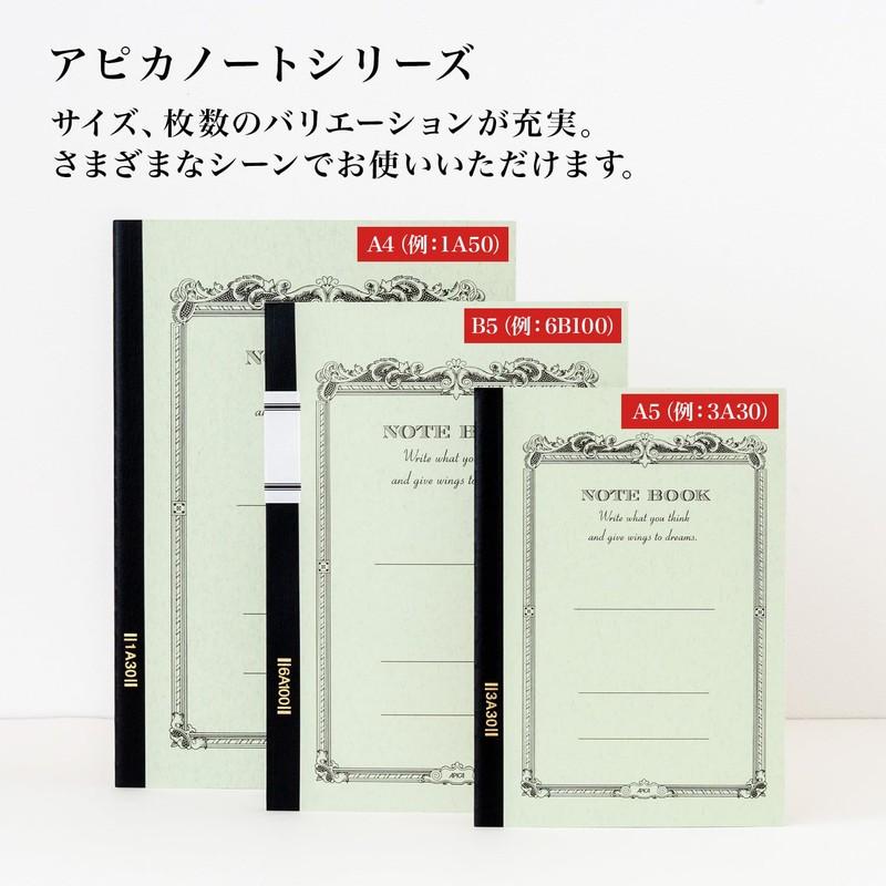 Apica ApicaNote B5 6B100 0.2 inch (6 mm) Horizontal Rule,