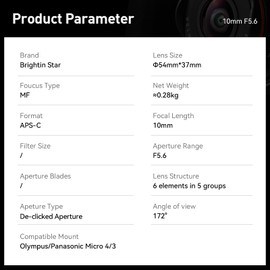 Brightin Star 10mm F5.6 Fisheye APS-C Manual Focus for Olympus/Lumix M43 Mount Mirrorless Cameras,Ultra-Wide Angle MF Large Aperture Prime Fixed Lens,Fit for G7,GX85,GX9,G95,GH5,GH6,G100,G9(Silver)