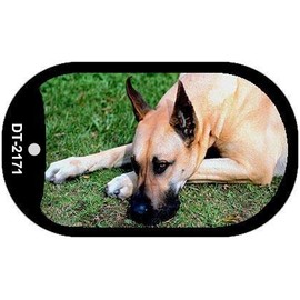 Smart Blonde Great Dane Novelty Metal Dog Tag Necklace DT-2171