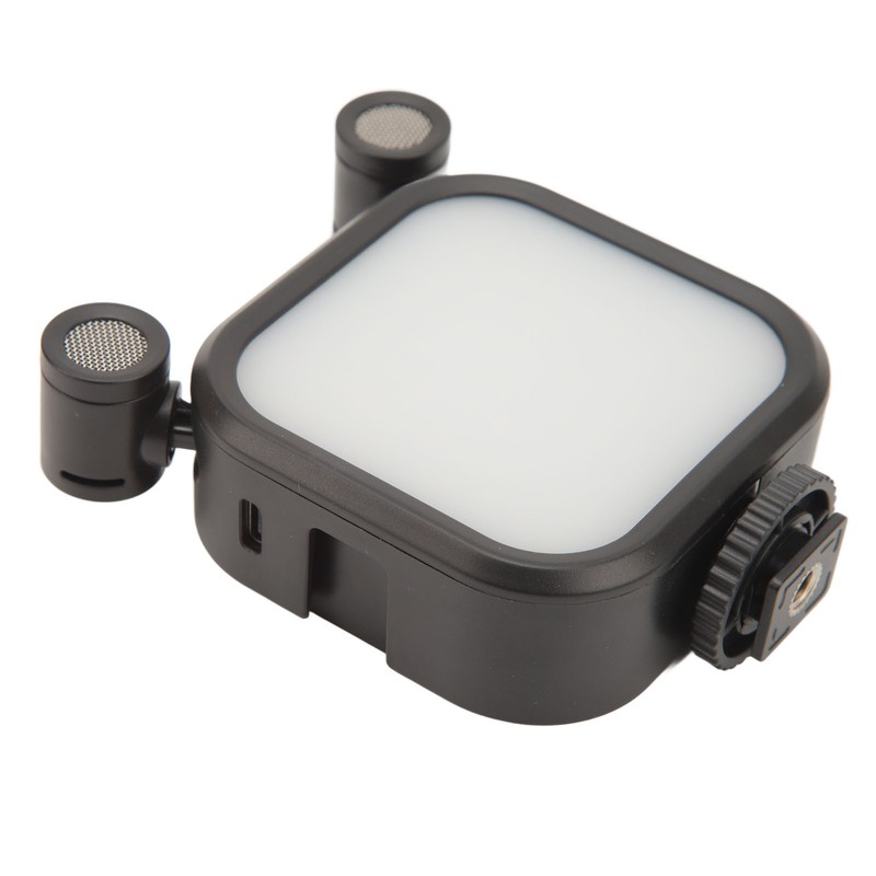 Stereo Microphone Light 10 Levels Brightness Dual Mic Fill Lamp