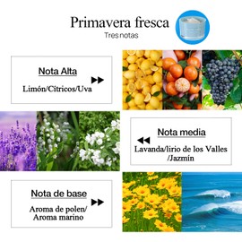 Velas Aromaticas, Cera de Soja 100% Pura, Aromaterapia, Alivio Del Estrés y Relajación, Adecuado para Yoga, Meditación, Navidad, Día de San Valentín, Regalo Perfecto para Mujeres (Azul)