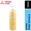 IOCell Networks Kafen Ginger Shampoo / Conditioner (250ml / 760ml
