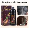 Shampoo Para Canas 500ml Natural Jengibre Tinte Cubre Canas