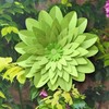 Mybbshower Large Lime Green Paper Flowers for Wall (12"-5") Spring