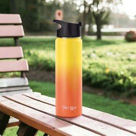 Trek Leaf Travel Water Bottle-18oz, 22oz, or 32oz -3 Lids (Spout, Straw, Flip) Leak Proof, Quality, Vacuum Insulated, Stainless Steel, Thermos, Metal Flask, Sports Canteen (Sunrise, 22 oz)