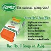 SABUN PYARY AYURVEDIC TUMERIC