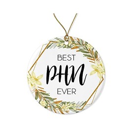 Public Health Nurse Christmas Ornament - Christmas Ornament Gift for Phn - World's Best Phn - Best Phn Ever - Public Health Nurse Gifts Printed on Both Sides