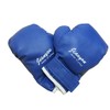 Kids/Children/Boxing Gloves Punching Gloves (Blue) Kids Gloves emuwai