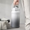 Insulated Water Bottle with Straw & Handle – 316 Stainless