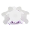 Real Bug MT336 Turtle Shaped Magnet with Starfish and Shells,