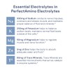 PerfectAmino Electrolytes - Complete Electrolyte Powder with Perfect Amino, Sugar