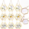 Marsui 3 Set Double Glass Frame Collage For Pressed Flowers