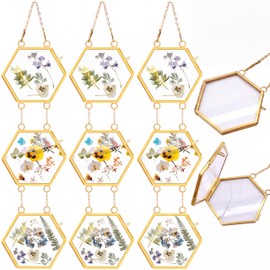 Marsui 3 Set Double Glass Frame Collage For Pressed Flowers with 9 Pcs 4 x 3 Inch Openings Gold Hanging Glass Floating Photo Frames for Artwork Display Photo Modern Home Wall Decor