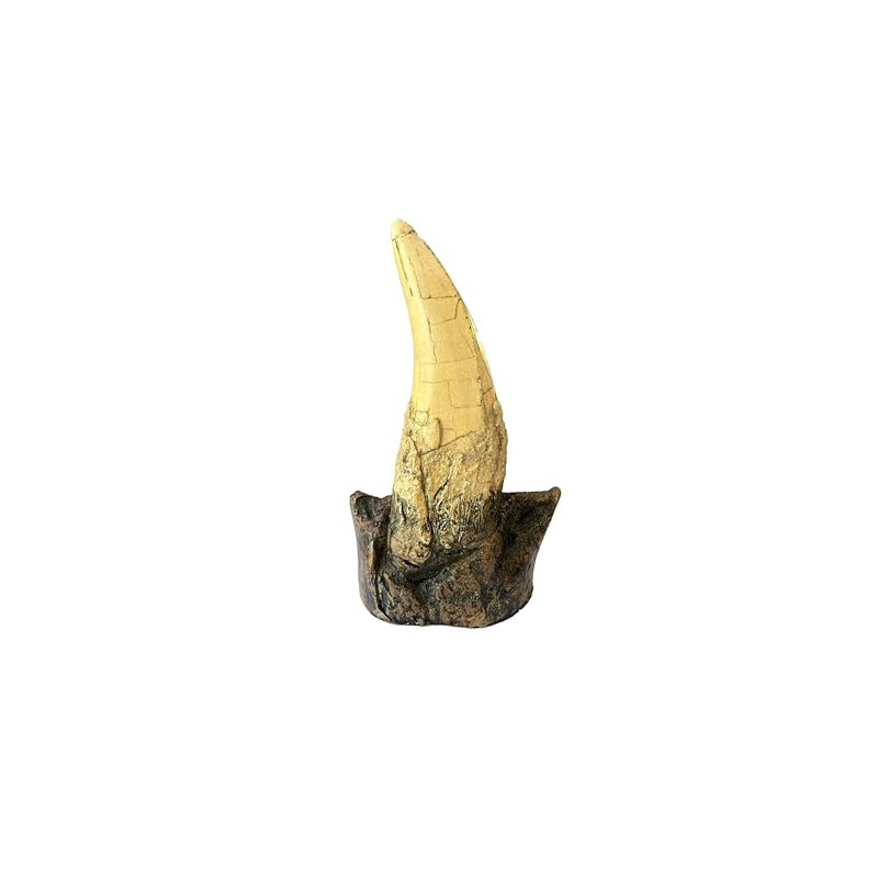 Tyrannosaurus Rex Large Tooth Replica – 6.5" Fossil Cast with