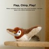Tyasoleil Flapping Bird Cat Toy with Simulated Chirping & Touch-Activated