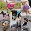 HuaLiSiJi Dog Jumper Fleece Small Dog Jumper Chihuahua, Elasticity Softness